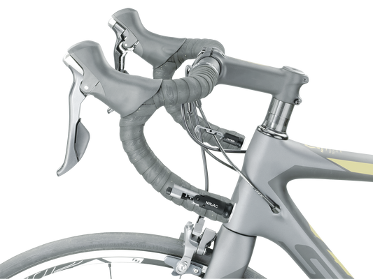 Topaak ninja c smagliacatena c