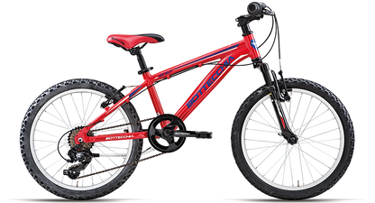 Bottecchia 032 Junior 20 ”