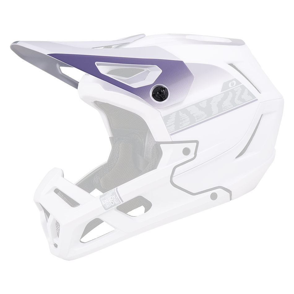 SL1 TERRA Helmet Visor