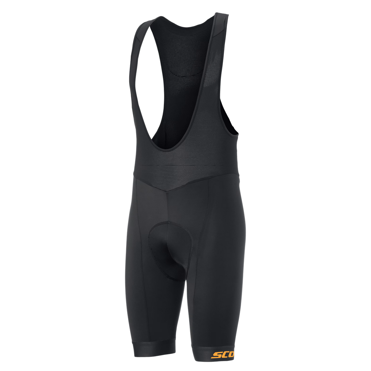 Scott Endurance ++ men's bib tights