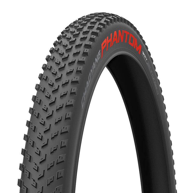 Tire 29x2.2 PHANTOM WET 120TPI TLR Silica Control Black