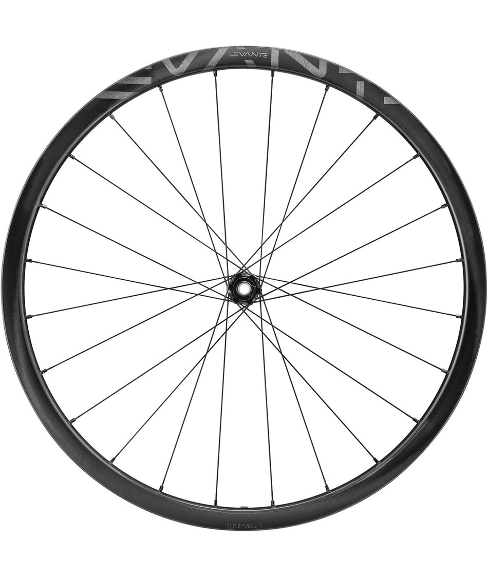 Campagnolo Levante 700C wheels