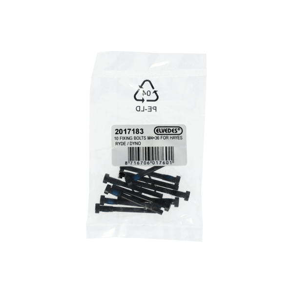 Elvedes - Pad locking screw Hayes Ryde / Dyno