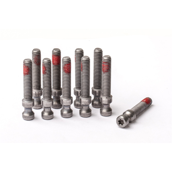 Magura - QUICK RELEASE SCREW FOR EASY MOUNT T25
