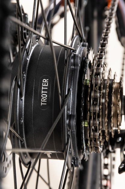 COPPI Goblin E-bike 24"