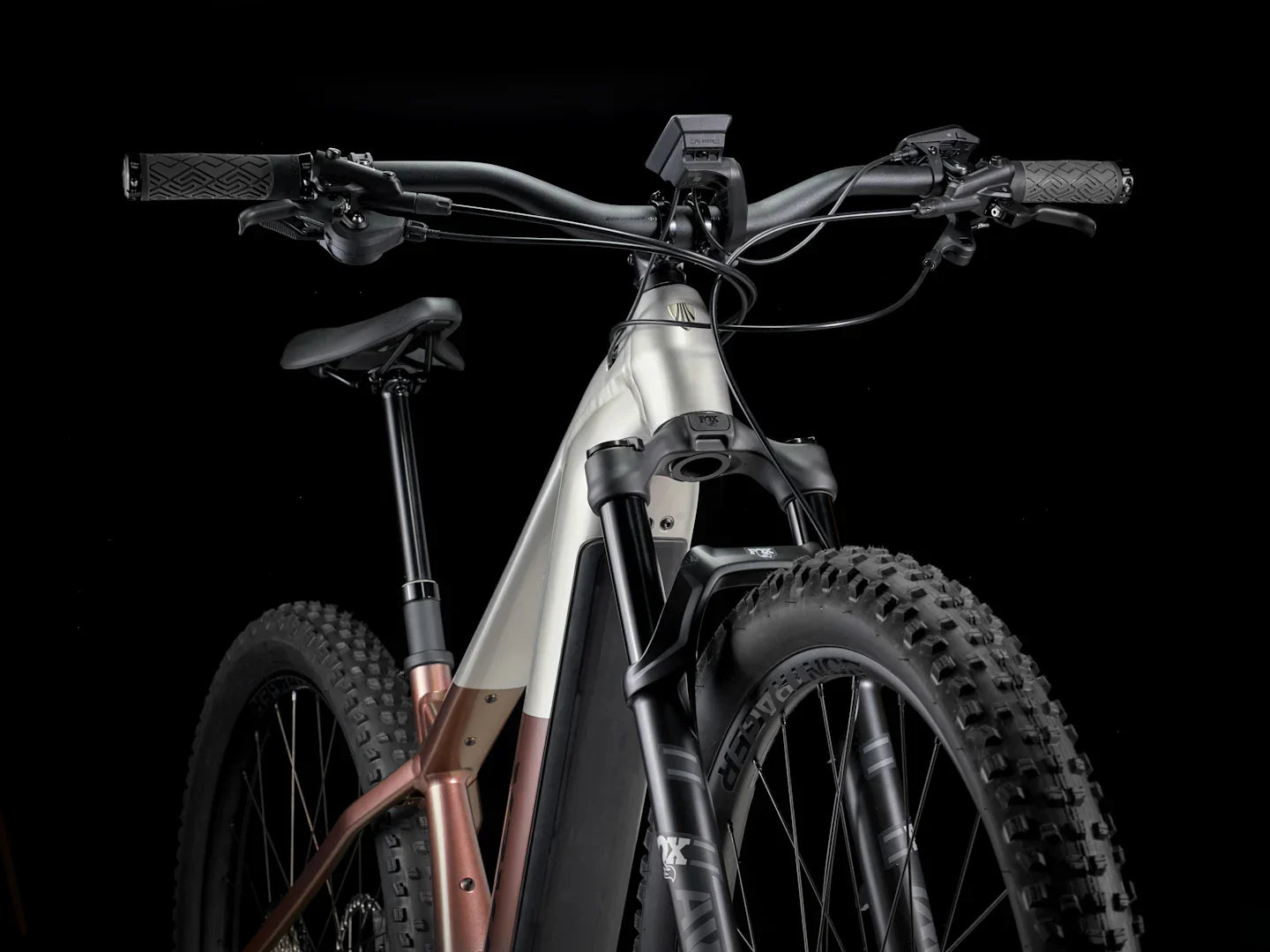 Trek Powerfly+ 8. Januar 5. Januar