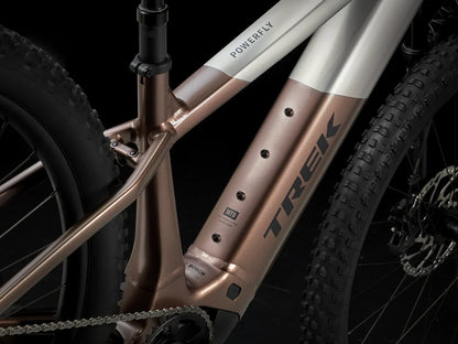 Trek Powerfly+ 8. Januar 5. Januar