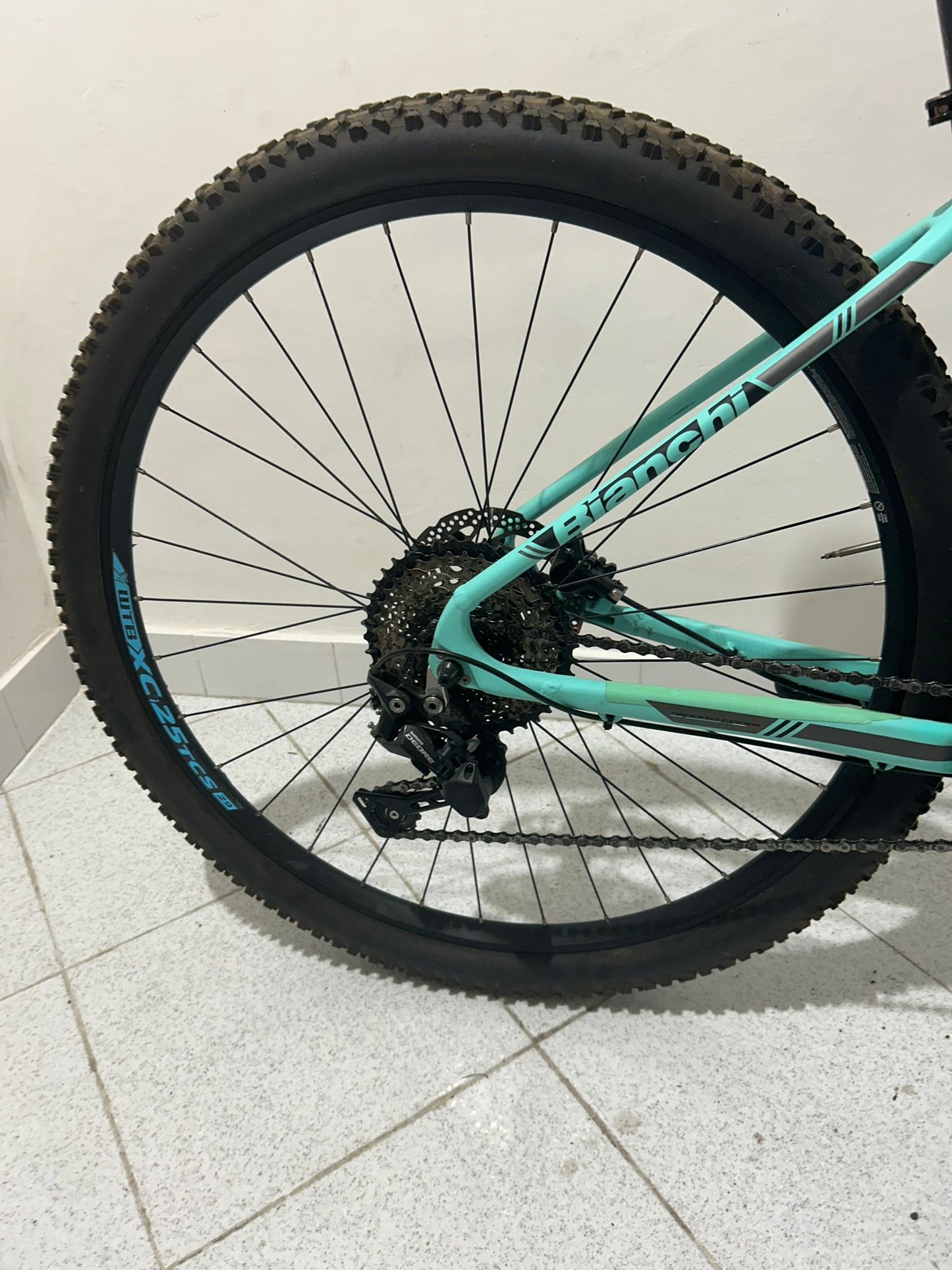 Bianchi Grizzly Taglia 17" - Usata