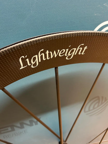 Leichte Meilenstein EVO Disc – Gebraucht