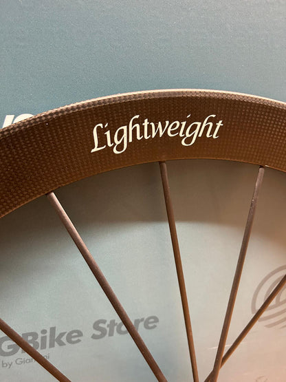 Leichte Meilenstein EVO Disc – Gebraucht