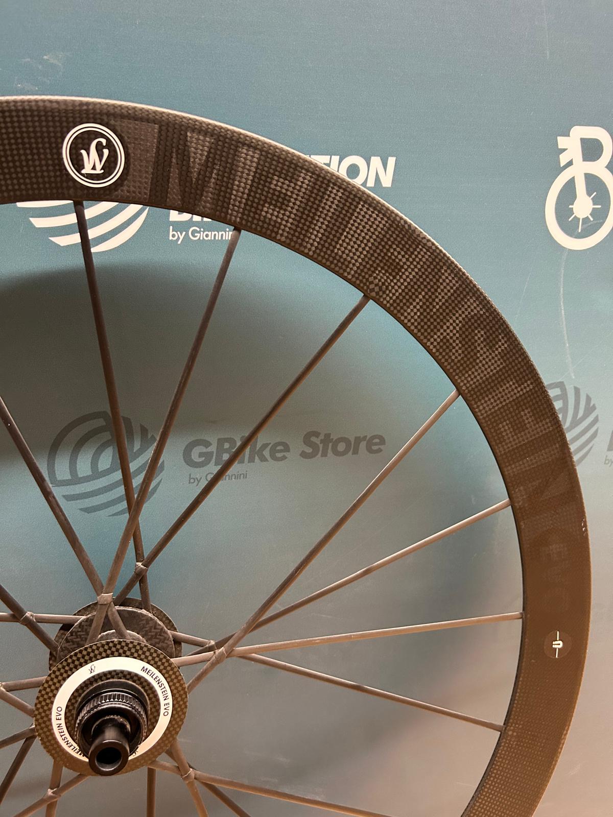 Leichte Meilenstein EVO Disc – Gebraucht