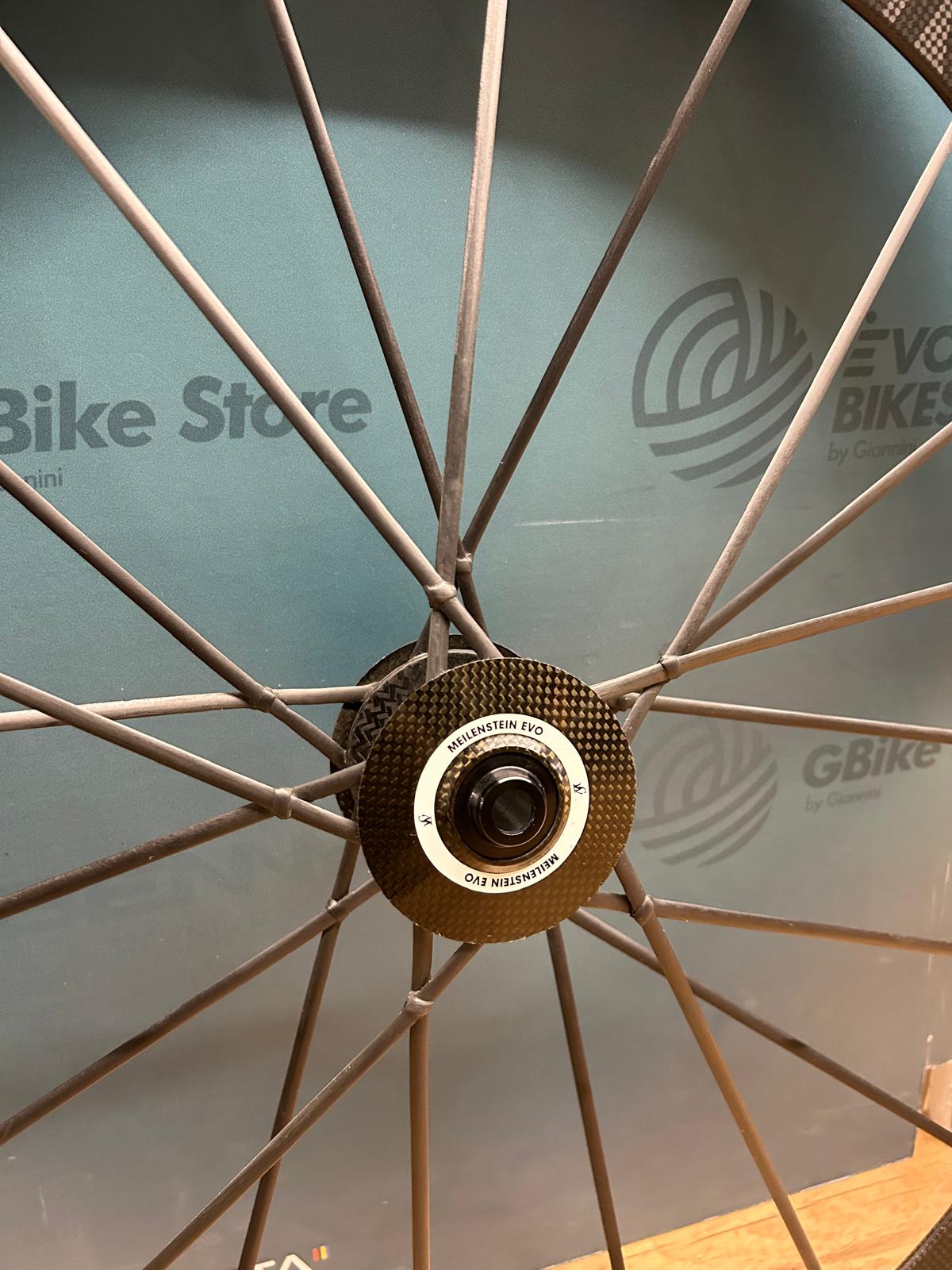 Leichte Meilenstein EVO Disc – Gebraucht