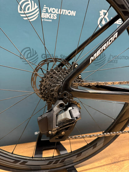 Merida-Skulptur Bahrain siegreiche Größe S - Gebraucht