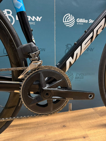 Merida-Skulptur Bahrain siegreiche Größe S - Gebraucht