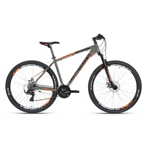 Bottecchia 109 TY500 DISC MECANIC 21S 29